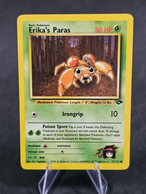 Erika's Paras 71/132