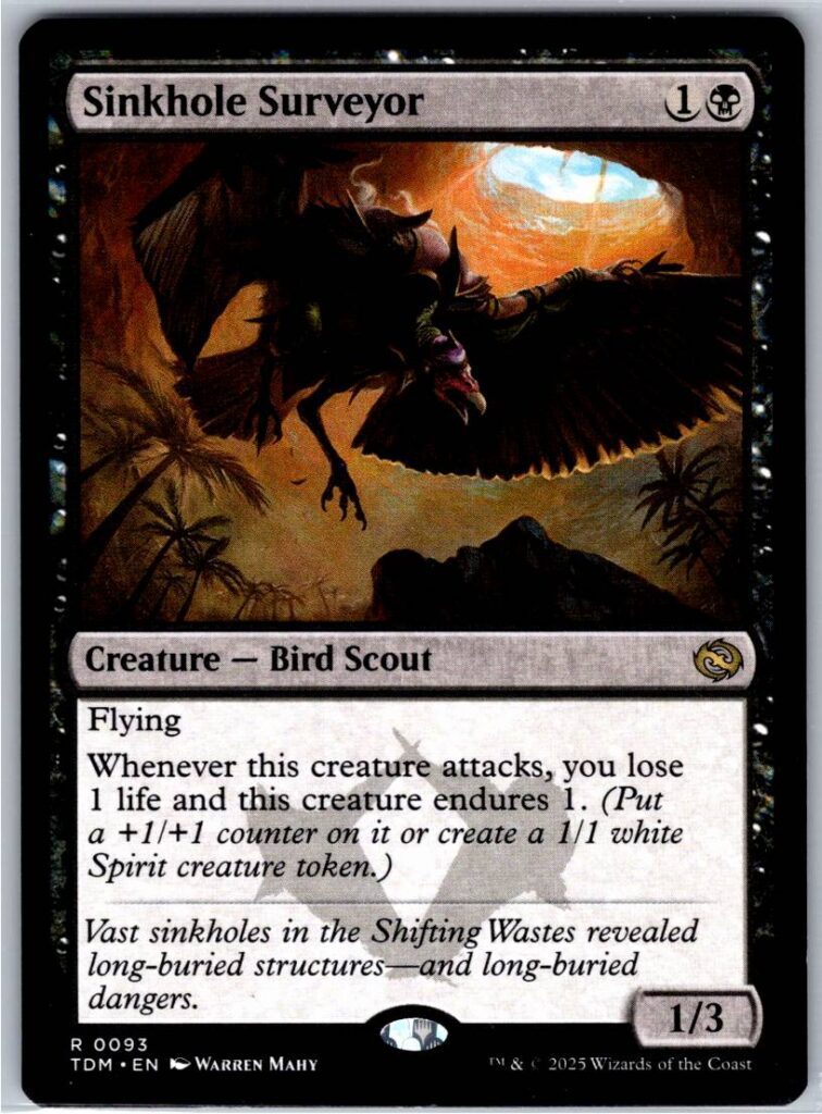 Sinkhole Surveyor  #93 (Normal - NM)