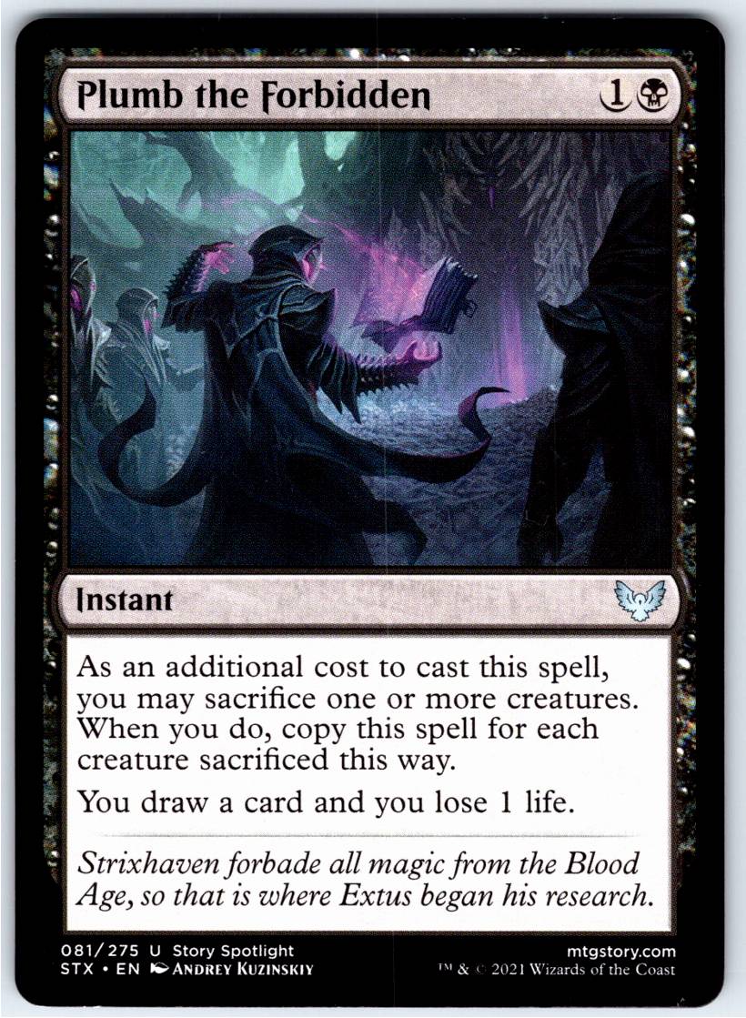 Plumb the Forbidden #81 (Normal - NM)