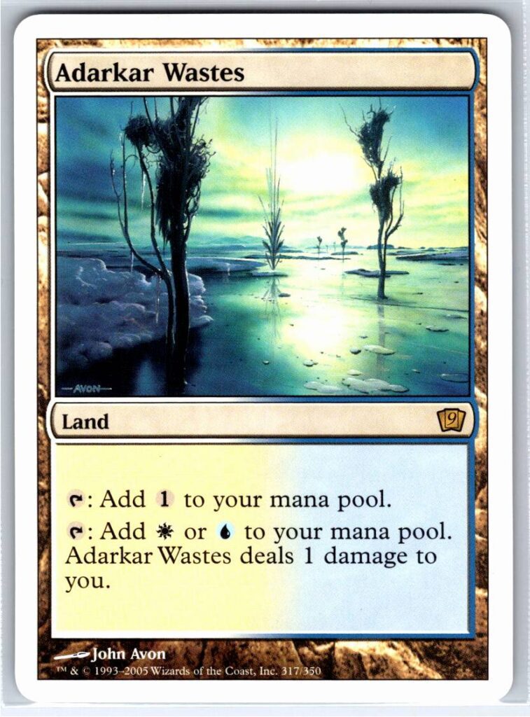 Adarkar Wastes  #317 (Normal - NM)