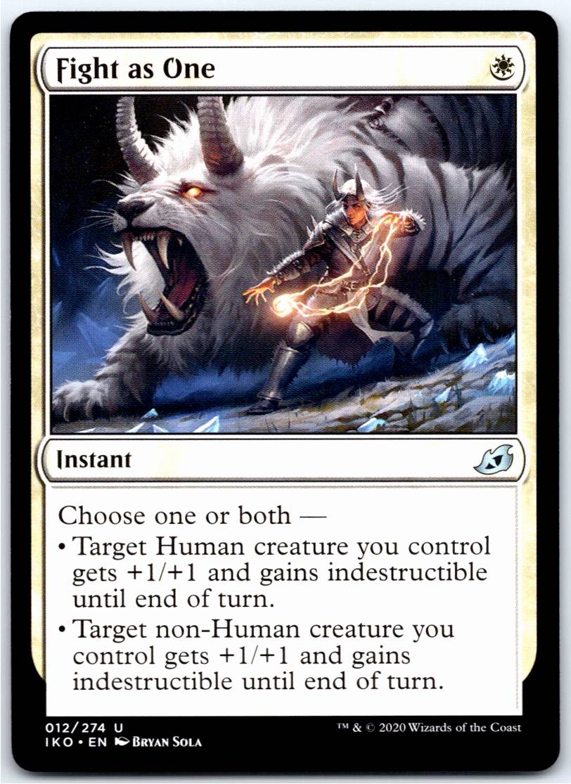 Fight as One #12 (Normal - NM)
