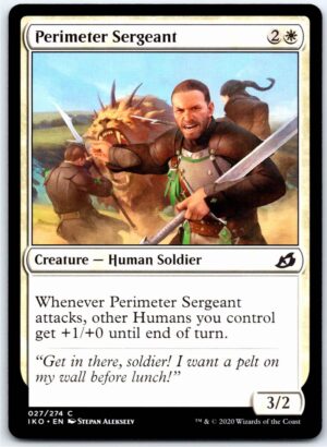 Perimeter Sergeant  #27 (Normal - NM)
