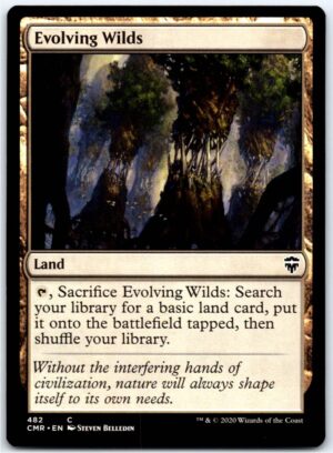 Evolving Wilds  #482 (Normal - NM)