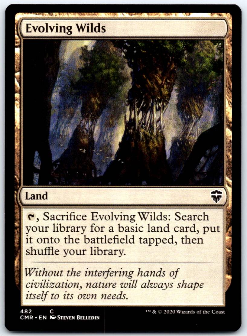 Evolving Wilds #482 (Normal - NM)