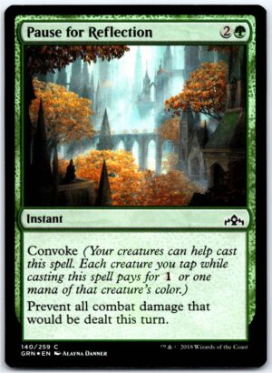 Pause for Reflection  #140 (Foil - LP)